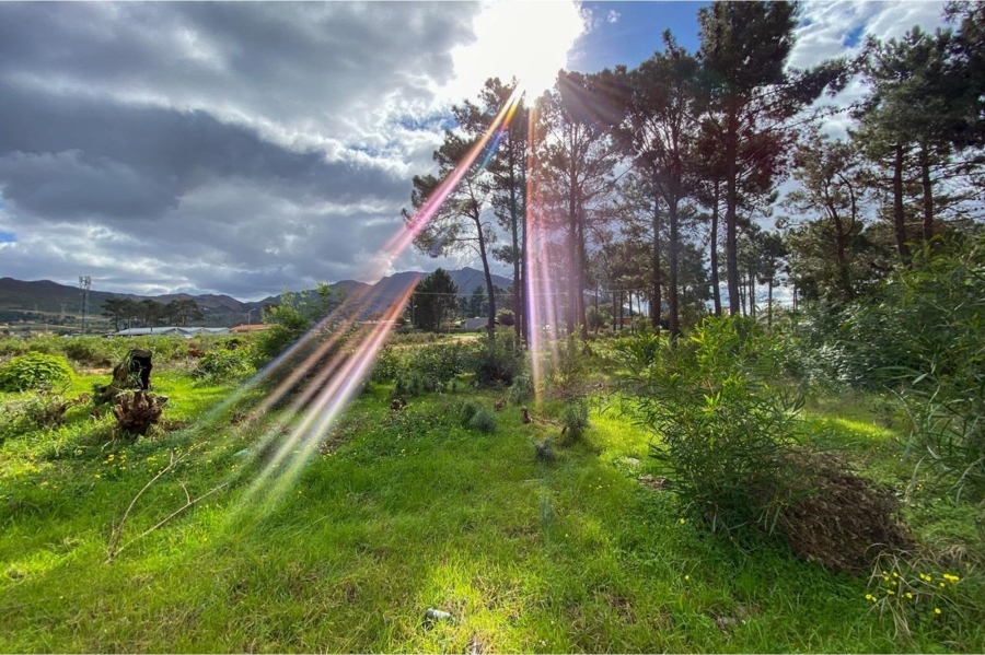 0 Bedroom Property for Sale in Bot River Western Cape